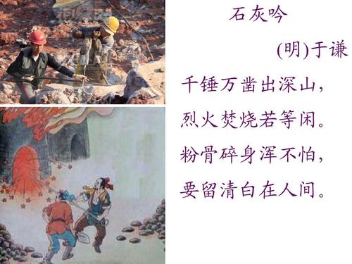 蒙牛乳业穿越周期：鲜奶、奶酪、奶粉及国内冰淇淋业务双位数增长 毛利率创历史新高